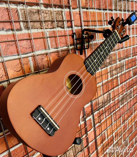 Гавайская гитара