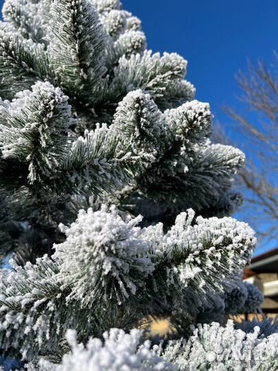Ель искуственная заснеженная