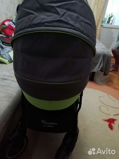 Коляска Adamex Champion 2в1