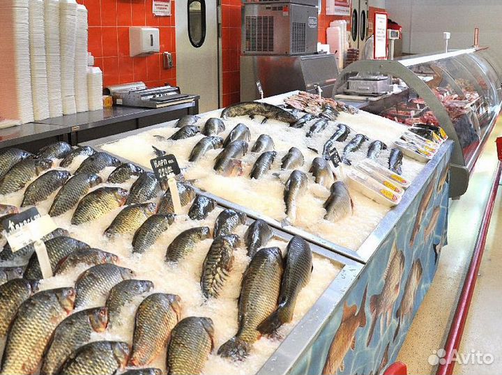 Купите готовый бизнес с премиальной рыбой