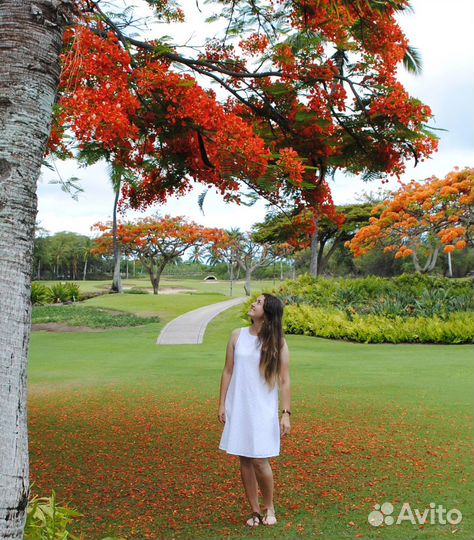 Гавайский массаж женщинам. От мастера с Гавайев
