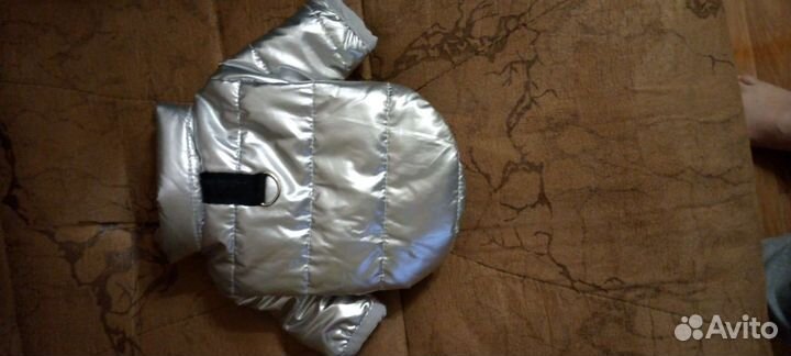 Одежда для собак мелких пород