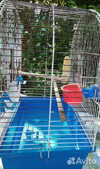 Клетка для волнистых со всем необходимым