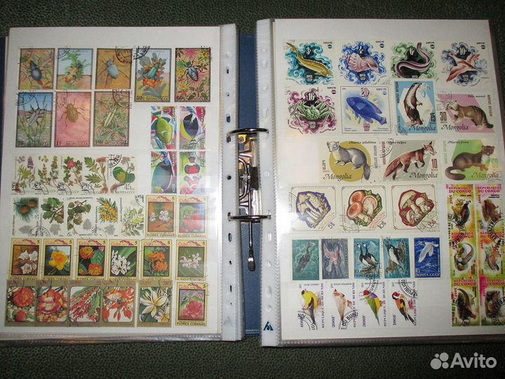 Почтовые марки (животные, растения) много