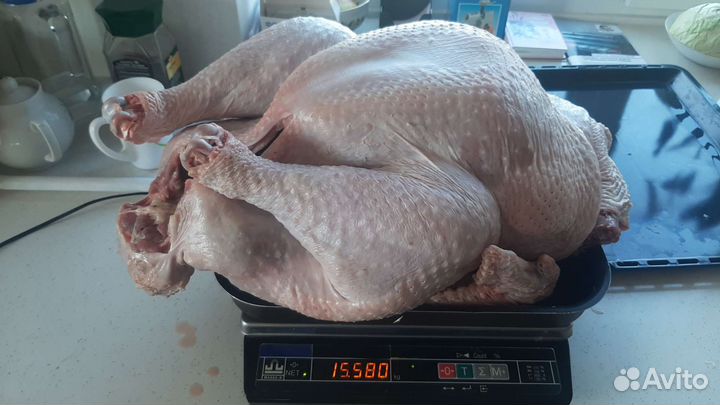 Мясо индейки