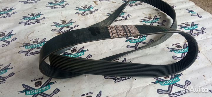 Поликлиновой ремень PL 2845 / 1120 L