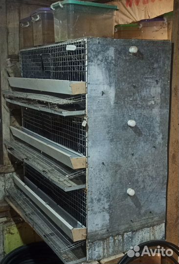 Клетки для перепелов