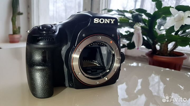 Sony Alpha SLT-A65+16-50mm f/2.8 SSM