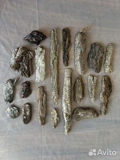 Кора дрифтвуд