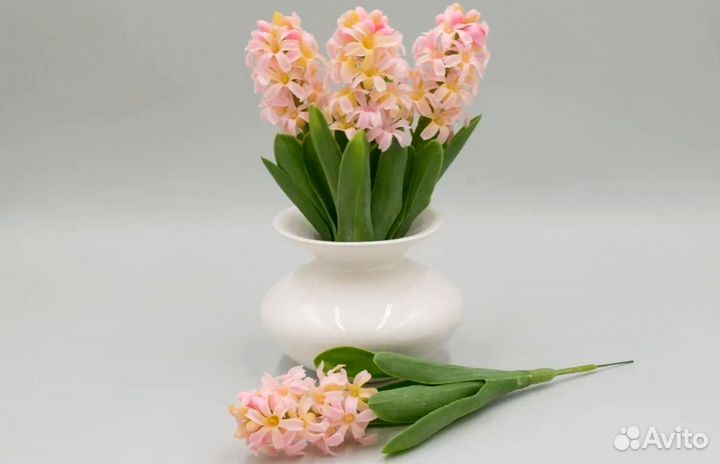 12 гиацинтов для Марины