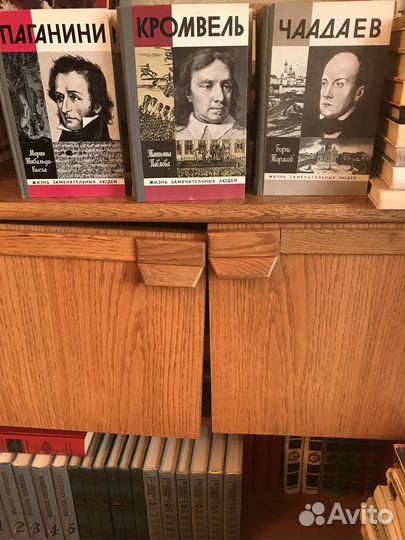 Книги из серии жзл