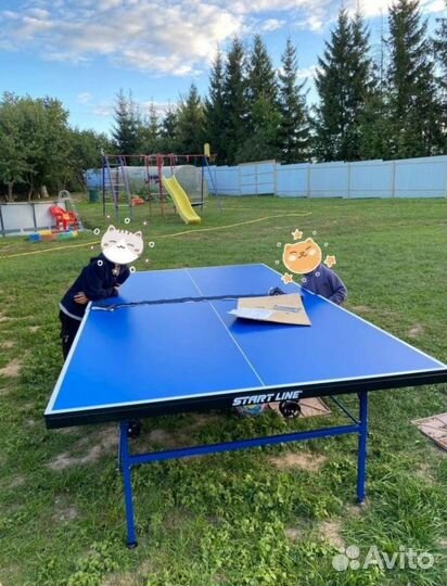 Теннисный стол Club-Pro