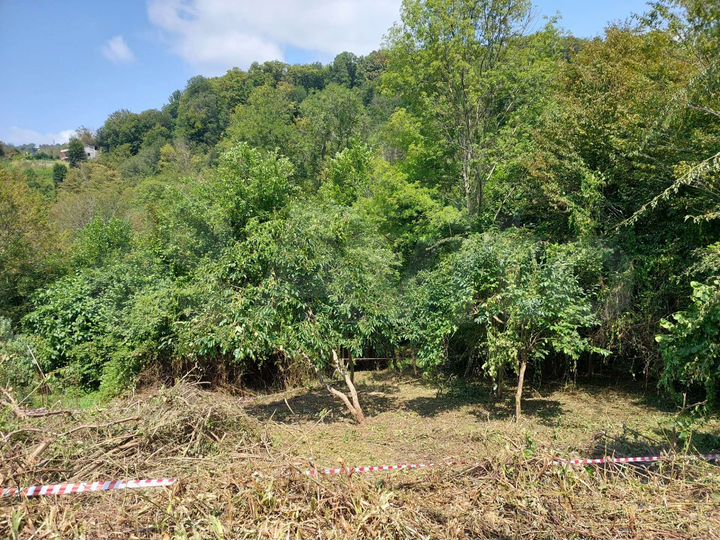 Участок 5,3 сот. (СНТ, ДНП)