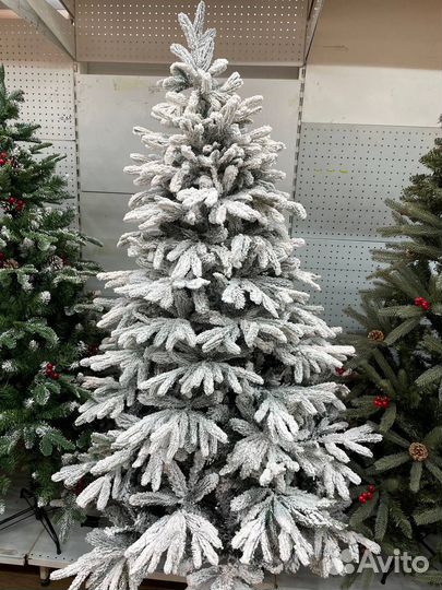 Ель заснеженная