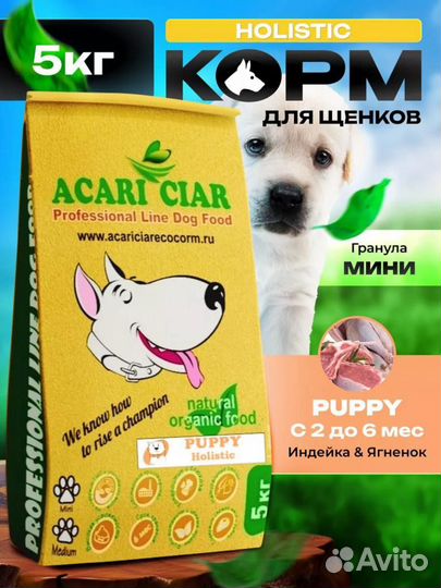 Корм для собак