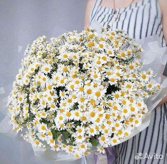 Ромашки Букет из ромашек доставка