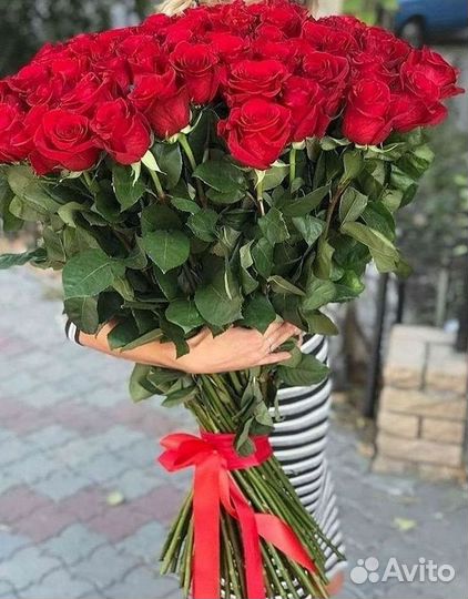 Высокие розы Гигантские Розы 150 160 170 180 190см