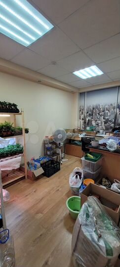 Офис, Московский проспект, 205