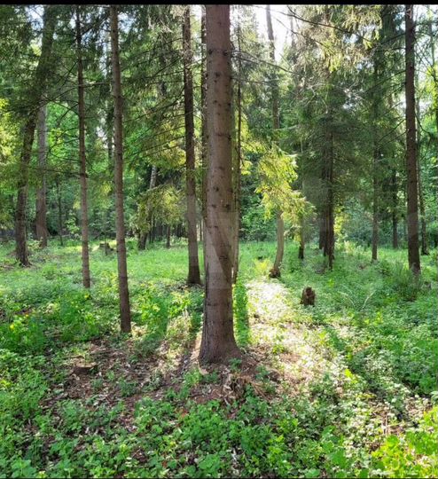 Участок 11,2 сот. (СНТ, ДНП)