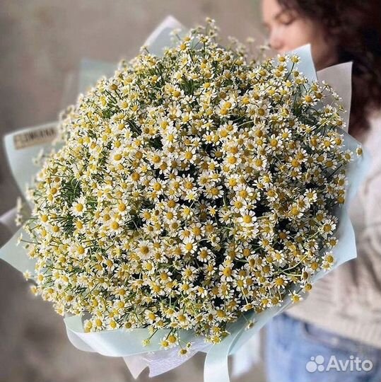 Ромашки Пионы Розы Доставка