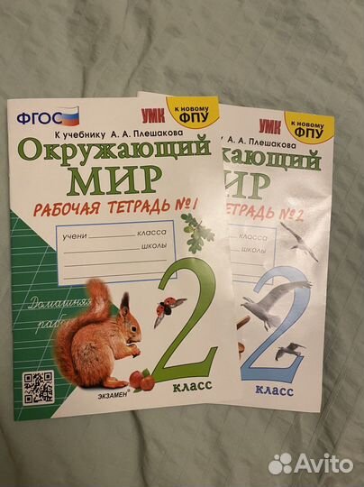 Рабочие тетради окружающий мир 2 класс новые
