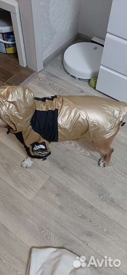 Дождевик, комбинезон, куртка и ветровка для собаки