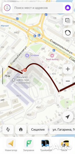 Зоогостиница/Зооняня/Стрижка/Передержка кошек