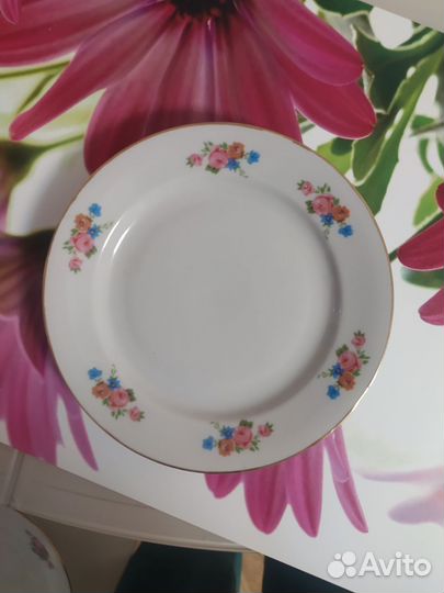 Столовый сервиз СССР