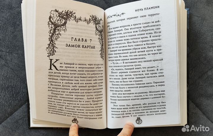 Ночь пламени, Амелия Ламберте