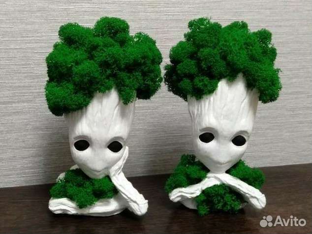 Кашпо со мхом