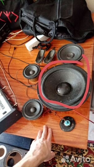Динамик 100вт
