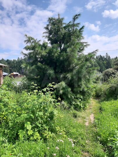 Дача 20 м² на участке 7 сот.