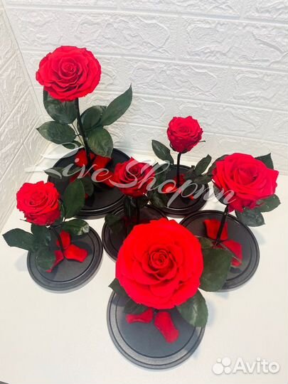 Роза в колбе