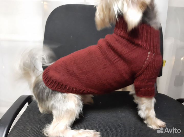 Свитер для маленьких собак или кошек
