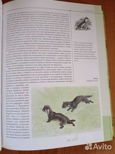 Познавательные книги