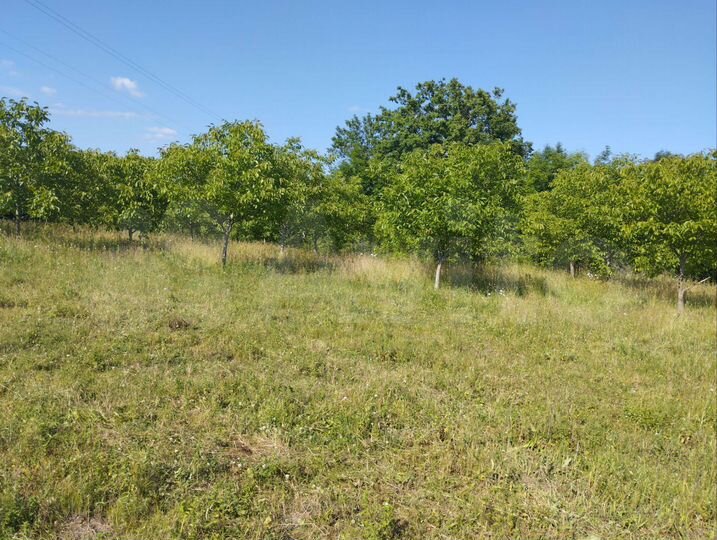 Участок 94 сот. (СНТ, ДНП)