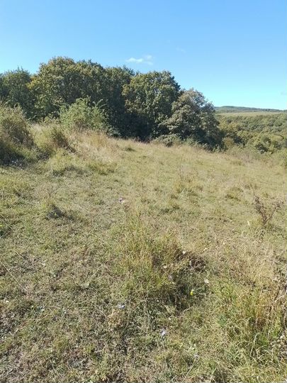 Участок 5 га (СНТ, ДНП)