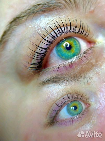 Ламинирование ресниц/Оформление бровей/Обучение