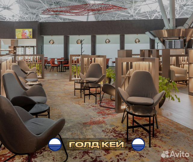 Проход в бизнес зал DME SVO VKO