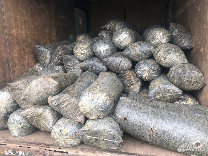 Грибные блоки вешенка