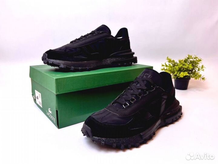 Кроссовки Lacoste premium