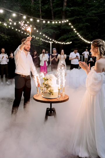 Коттедж 410 м² на участке 20 сот.