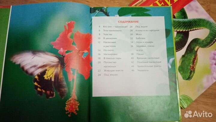 Детская энциклопедия