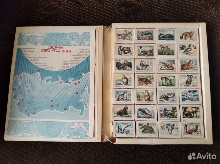 Спички Сувенирный набор. Занесены в красную книгу