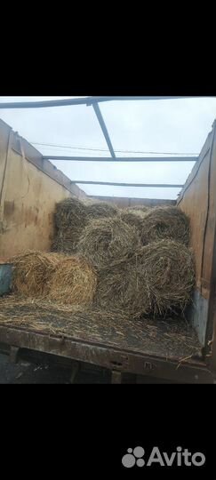 Сено и солома
