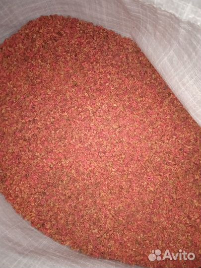 Семена Свекла сахарная протравленная