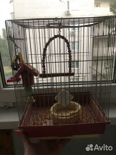 Клетка для попугая с кормом и аксессуарами