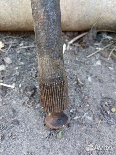 Торсионы Луаз