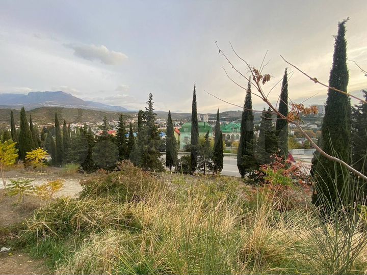 Участок 4 сот. (ИЖС)