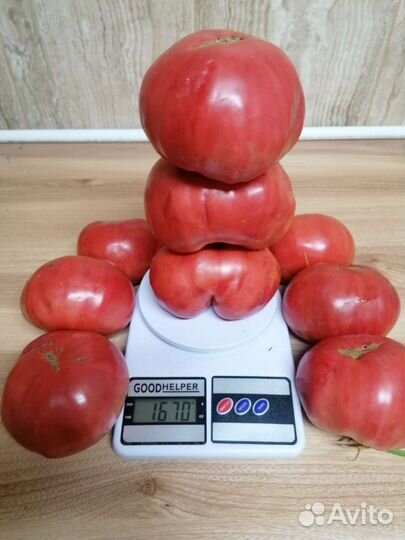 Семена томатов моей бабушки